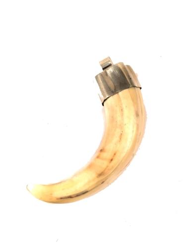 COLGANTE CUERNO DE MARFIL DE JABALI FACOCHERO AFRICANO- MONTADO EN PLATA