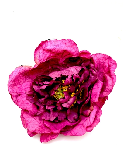 BROCHES DE FLORES EN MUCHOS COLORES...
