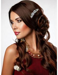 PEINETAS PARA BODAS PLATEADAS PEQUEÑAS DE CRISTAL | ACCESORIOS PELO 2