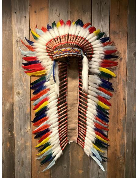 DECORACION ORIGINAL PENACHO MULTICOLOR PLUMAS | ARTESANIA