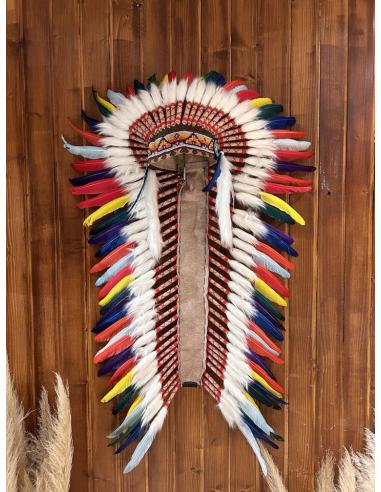 DECORACION ORIGINAL PENACHO MULTICOLOR PLUMAS | ARTESANIA