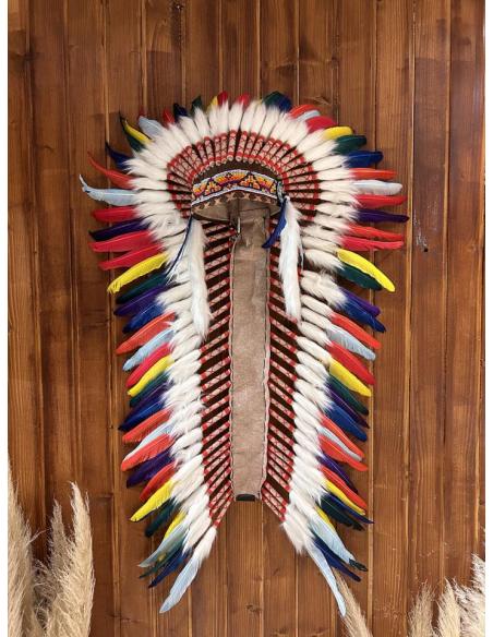 DECORACION ORIGINAL PENACHO MULTICOLOR PLUMAS | ARTESANIA