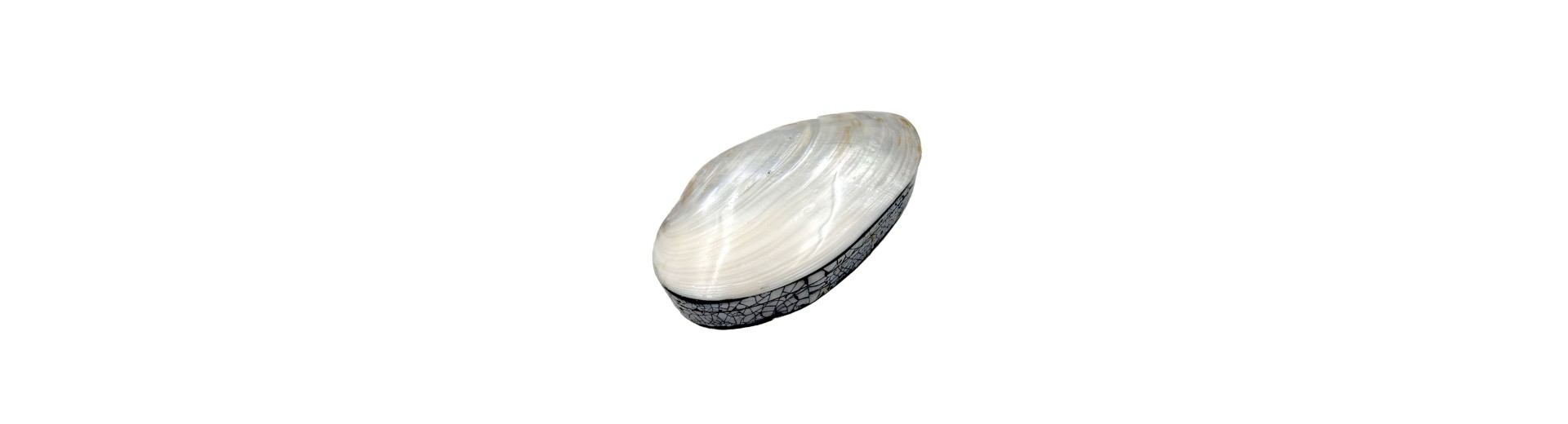 CAJAS DECORATIVAS